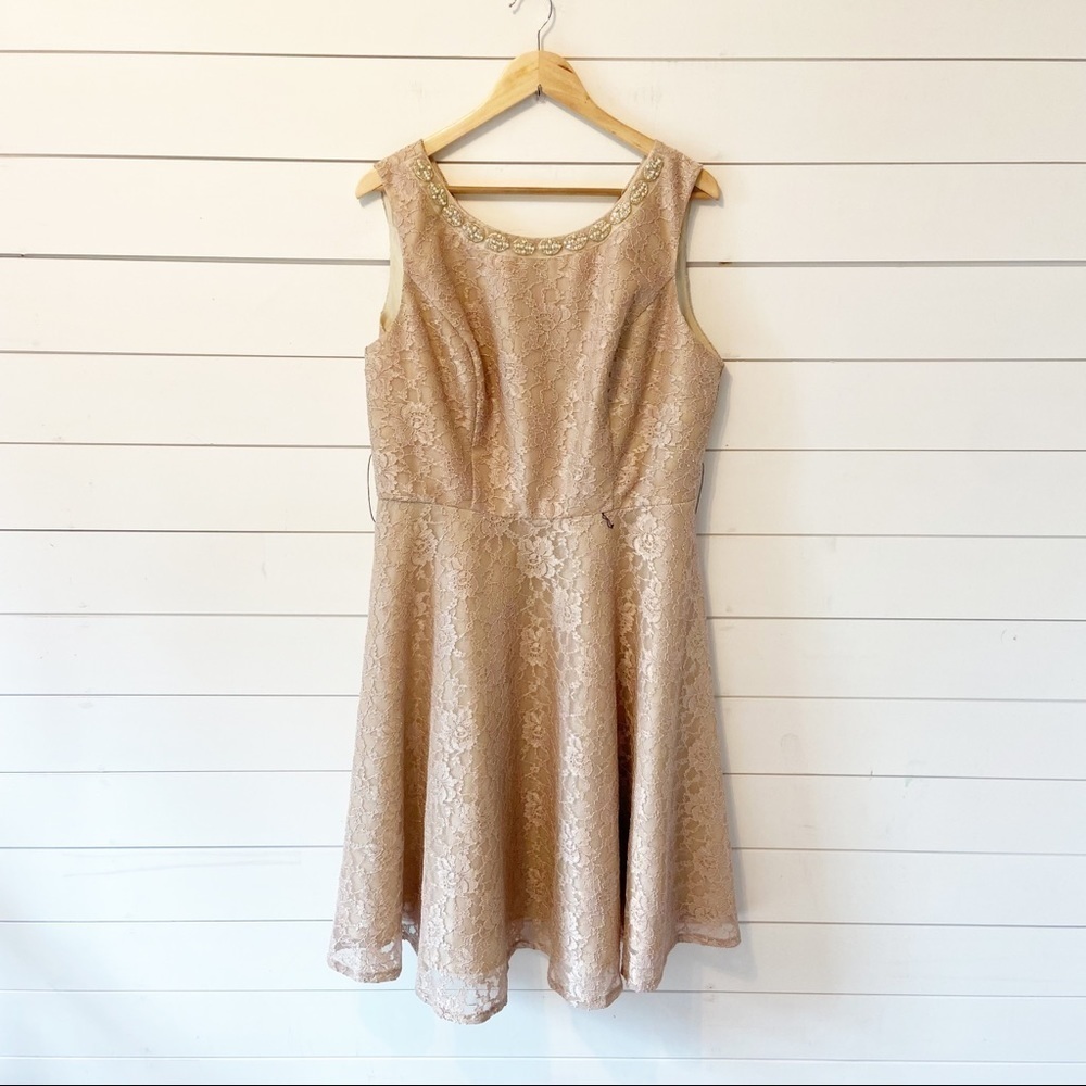 Melrose champaine lace dress. 16